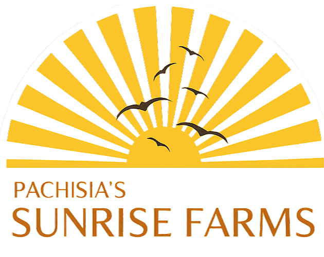 Sunrise Farms